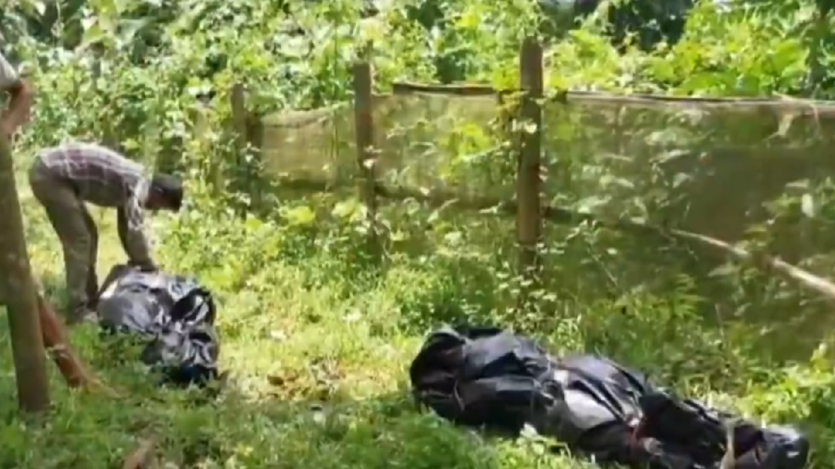 Married Woman and Unmarried Man Found Hanging from Same Tree, Police Probe Suspected Joint Suicide