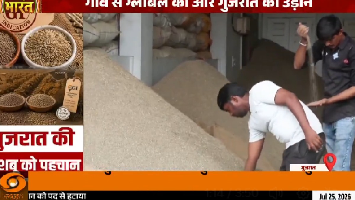 Unjha’s Cumin and Fennel Earn GI Tag, Putting Gujarat’s Spice Heritage on the Global Map