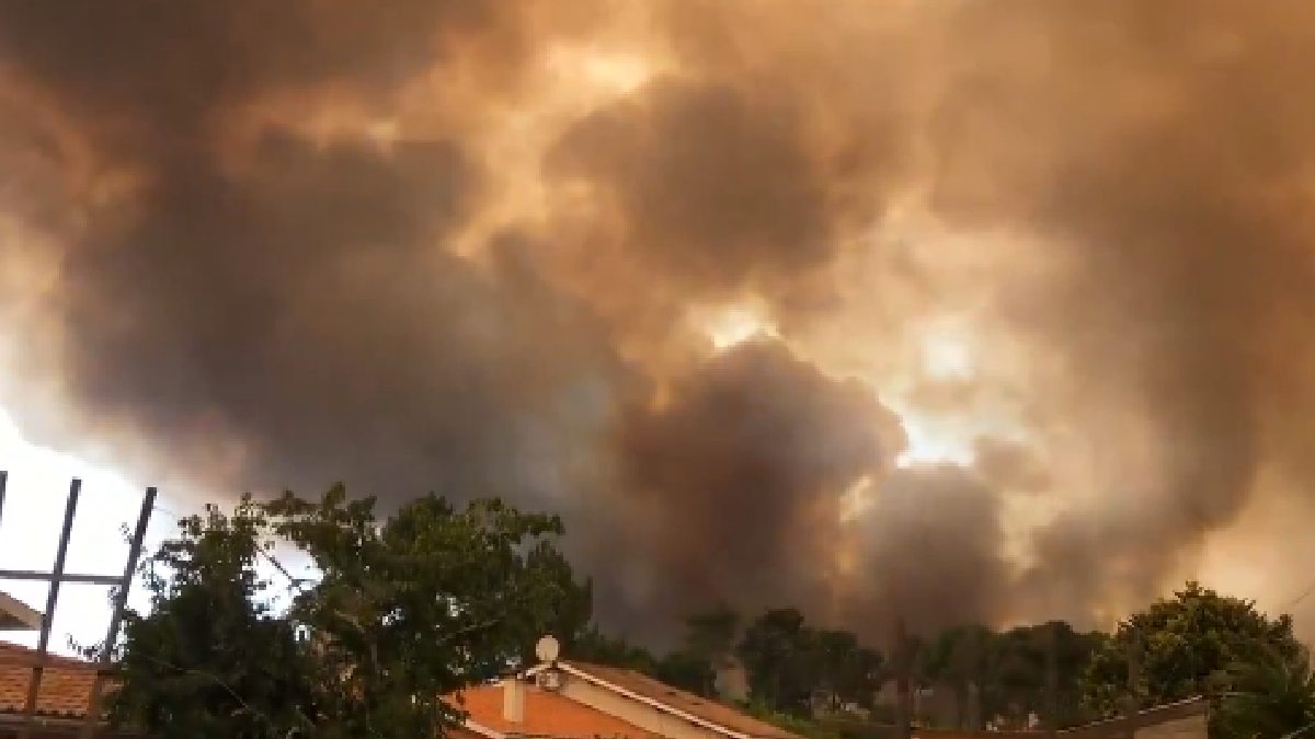 Inferno in France: Over 20,000 Evacuated as Wildfire Devastates Southwest Region