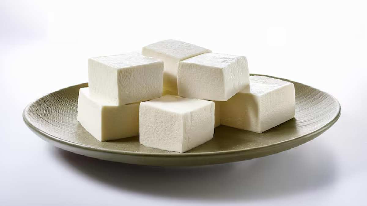 Maharashtra Bans Non-Dairy Paneer | Photo Credit: https://www.magnific.com/free-photos-vectors