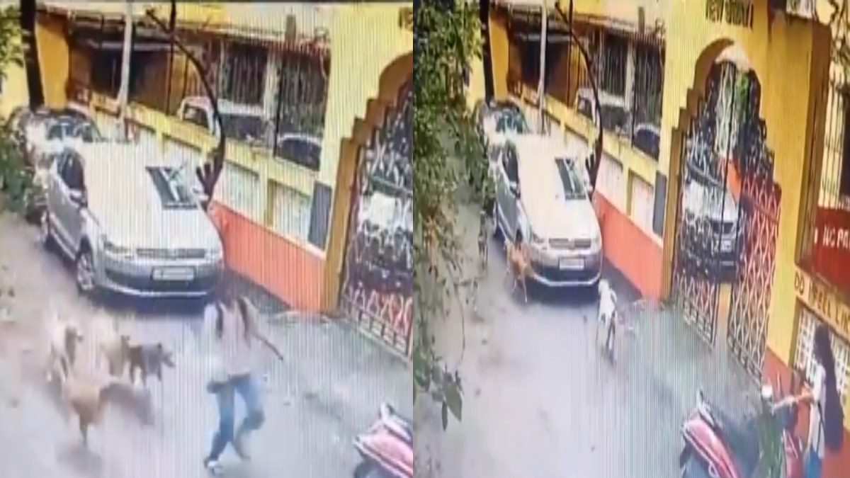 20–25 Stray Dogs Create Fear in Maharashtra Vasai West; Residents Seek Immediate Civic Action