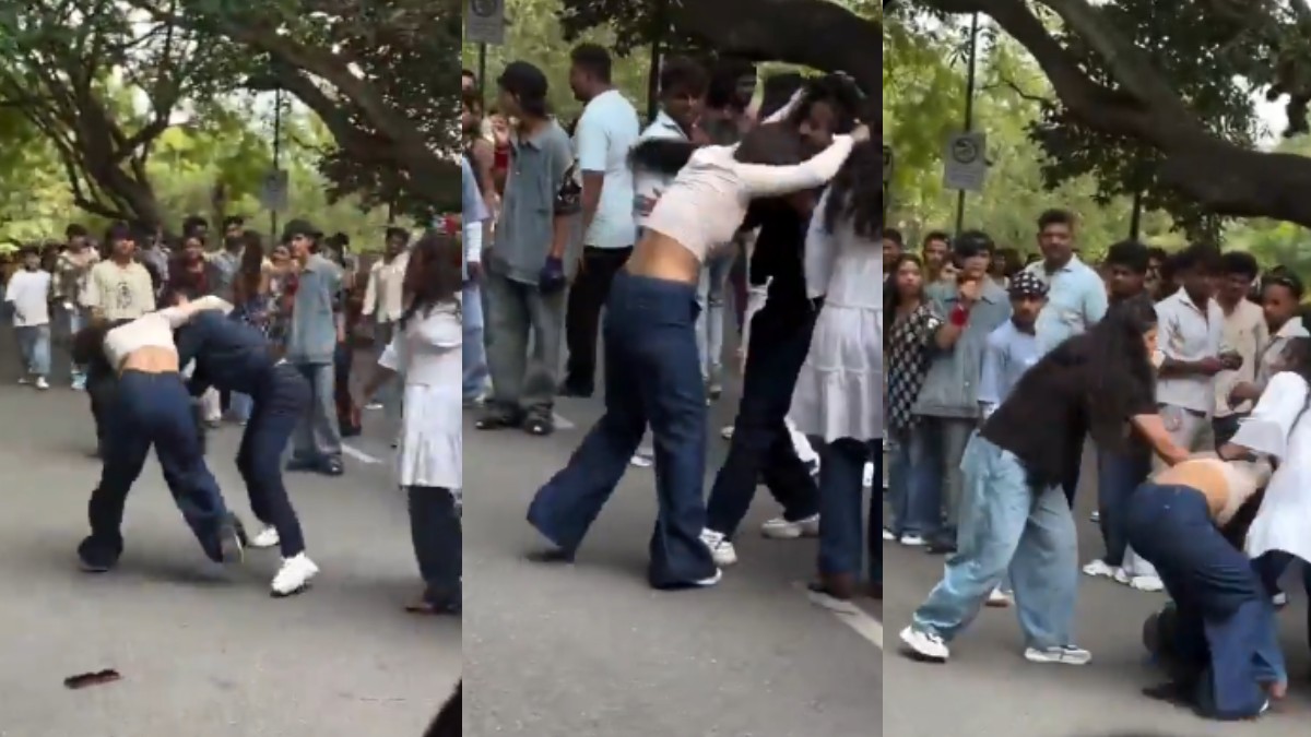 Cubbon Park Fight Video Goes Viral | Photo Credit: https://x.com/HateDetectors