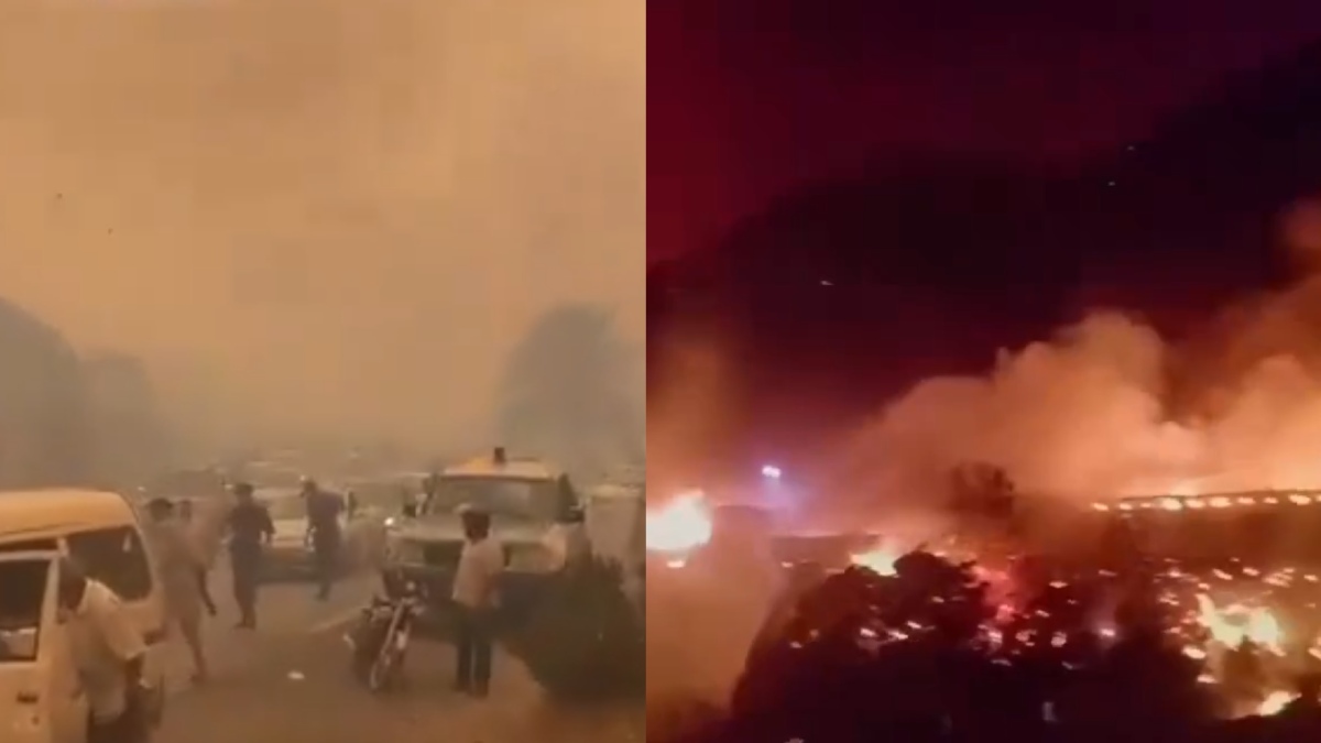 Algeria Wildfires Kill 12, Dozens Injured As Fires Spread Across Provinces
