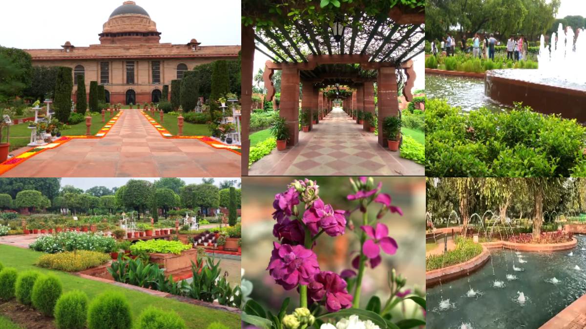 Amrit Udyan Summer Annuals 2026: Visitors Enjoy a Colourful Floral Experience Till September 15
