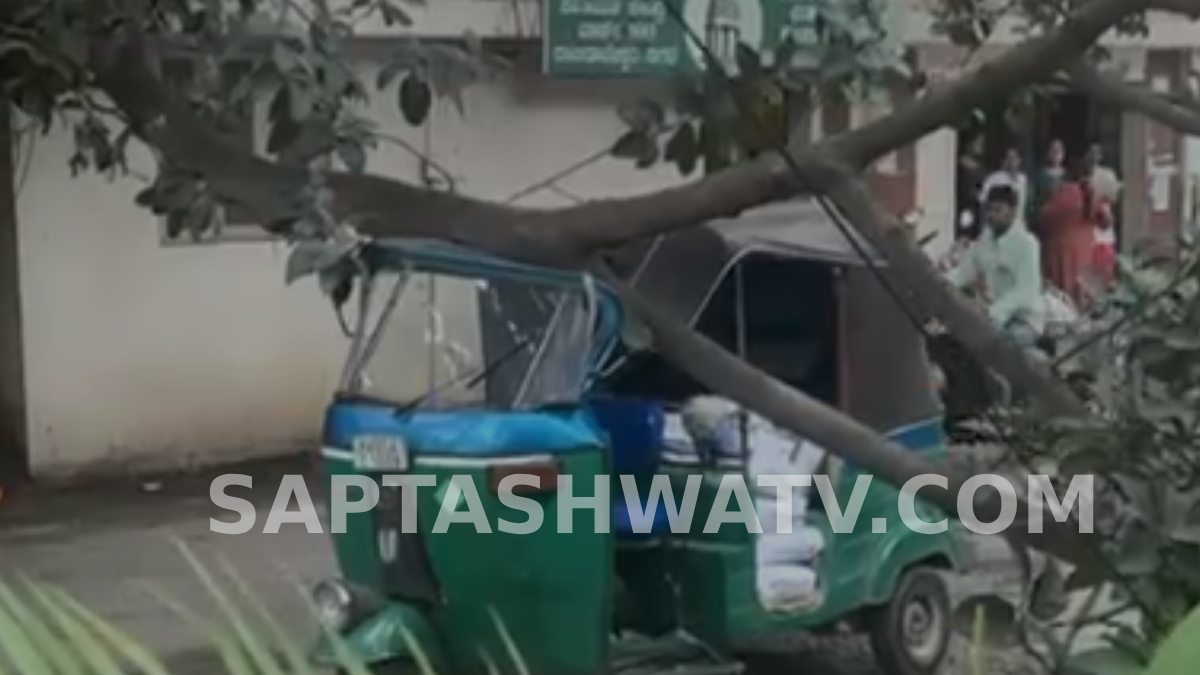 ಆಟೋ ಮೇಲೆ ಮುರಿದು ಬಿತ್ತು ಬೃಹತ್ ಆಲದ ಕೊಂಬೆ-ಕೂದಲೆಳೆಯ ಅಂತರದಲ್ಲಿ ತಪ್ಪಿದ ದೊಡ್ಡ ಅನಾಹುತ!!