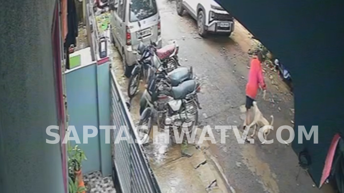 Belagavi Stray Dog Attack: Pedestrian Suffers Serious Injuries After Sudden Attack in Srinagar Area