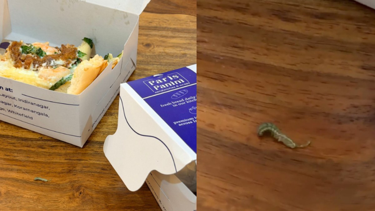 Bengaluru Food Hygiene Row: Woman Claims She Found Live Caterpillar In Paris Panini Order