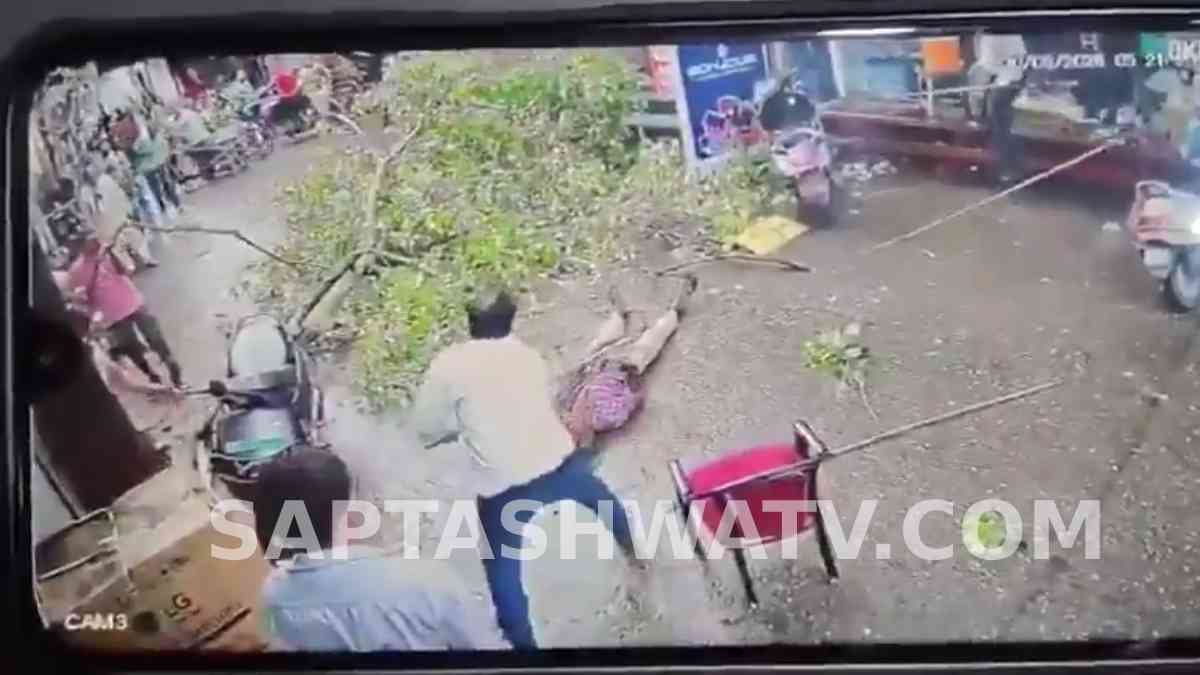 Tree Falls on Power Line, Elderly Man Gets Trapped on Road in UP’s Bijnor