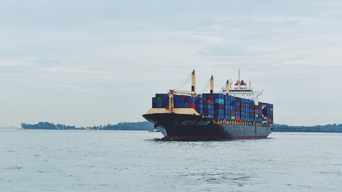 Cargo Ship Sinks Off Odisha: Two Chinese Sailors Saved, Search Continues For 22 Missing