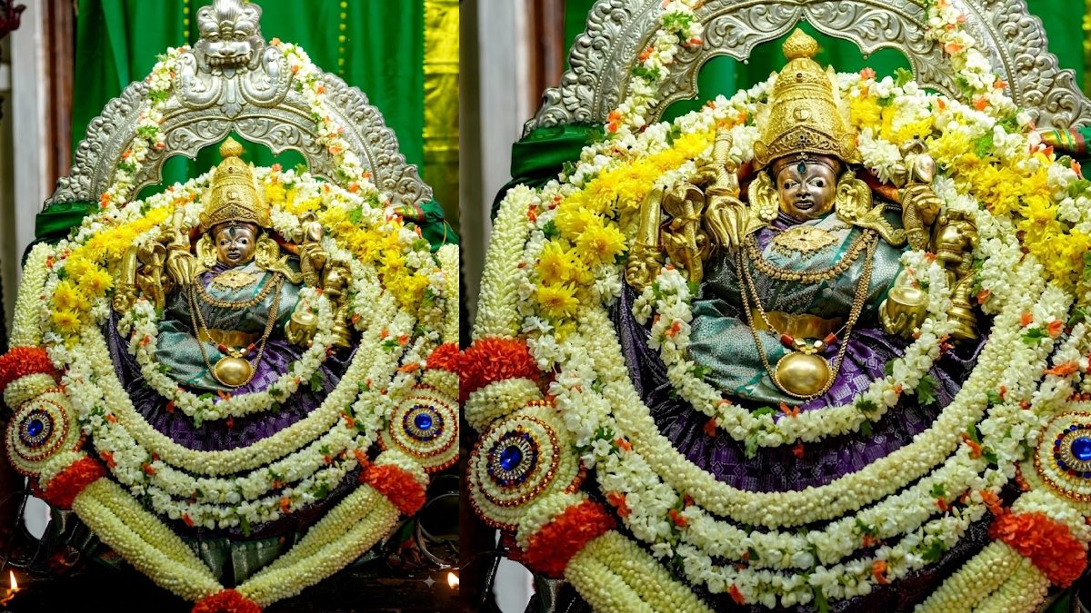 ಶ್ರೀ ಚಾಮುಂಡೇಶ್ವರಿ ಅಮ್ಮನವರಿಗೆ ವಿಶೇಷ ಹೂವು | Photo Credit: https://x.com/HarishS28833532