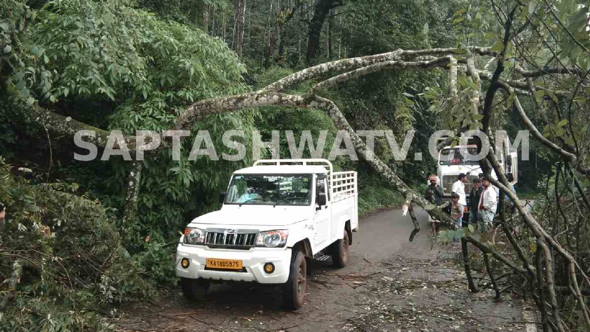 ಚಿಕ್ಕಮಗಳೂರಿನಲ್ಲಿ ಮಳೆ ಅವಾಂತರ