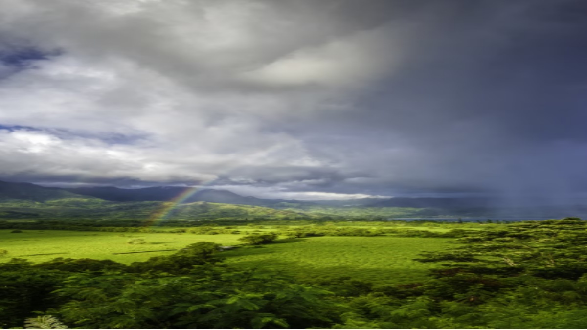 El Niño Getting Stronger: UN Warns Countries to Prepare for Extreme Weather | Photo Credit: https://www.magnific.com/
