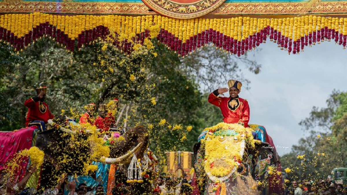 Nine Jumbos Arrive in Mysuru: Dasara Festivities Begin to Take Shape