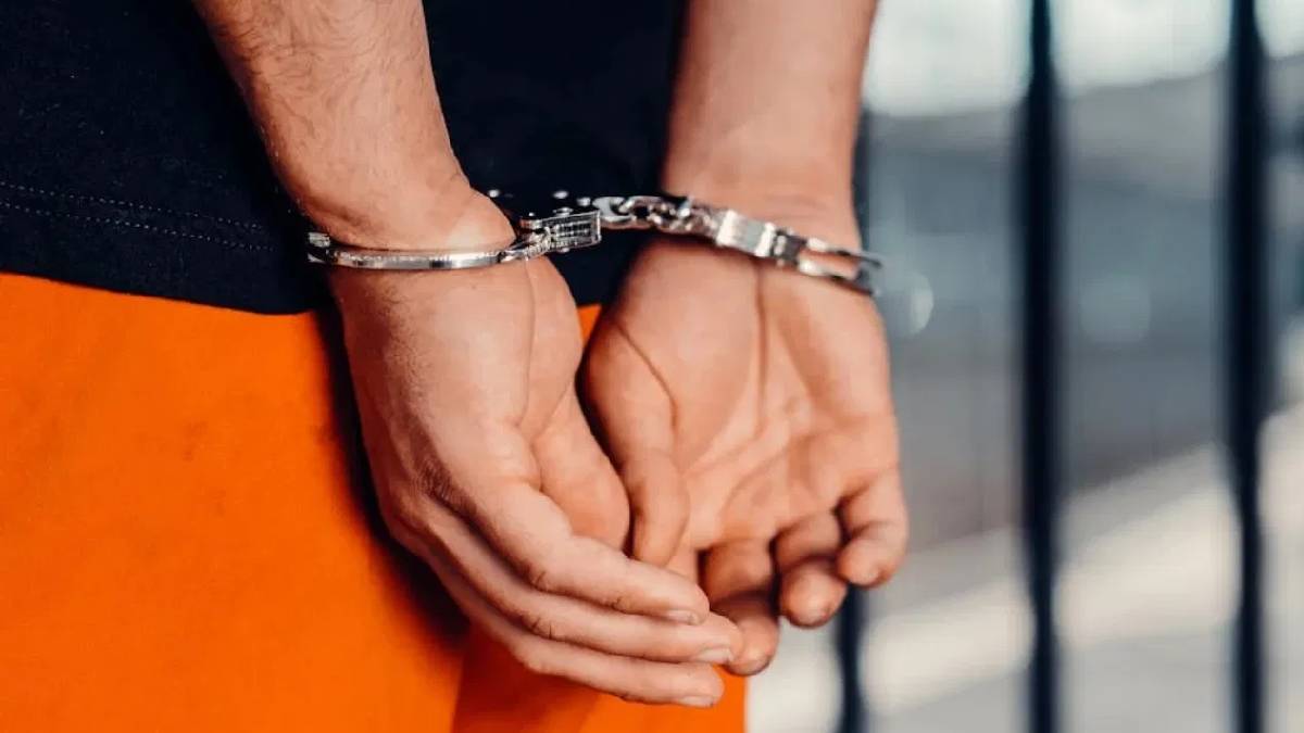 Delhi Airport Drug Bust: 11.5 Kg Hydroponic Weed Seized, Two Arrested