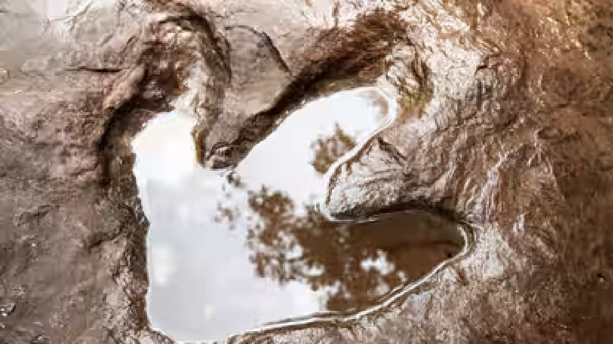 Illustration of Ancient dinosaur footprint | Photo Credit: canva image