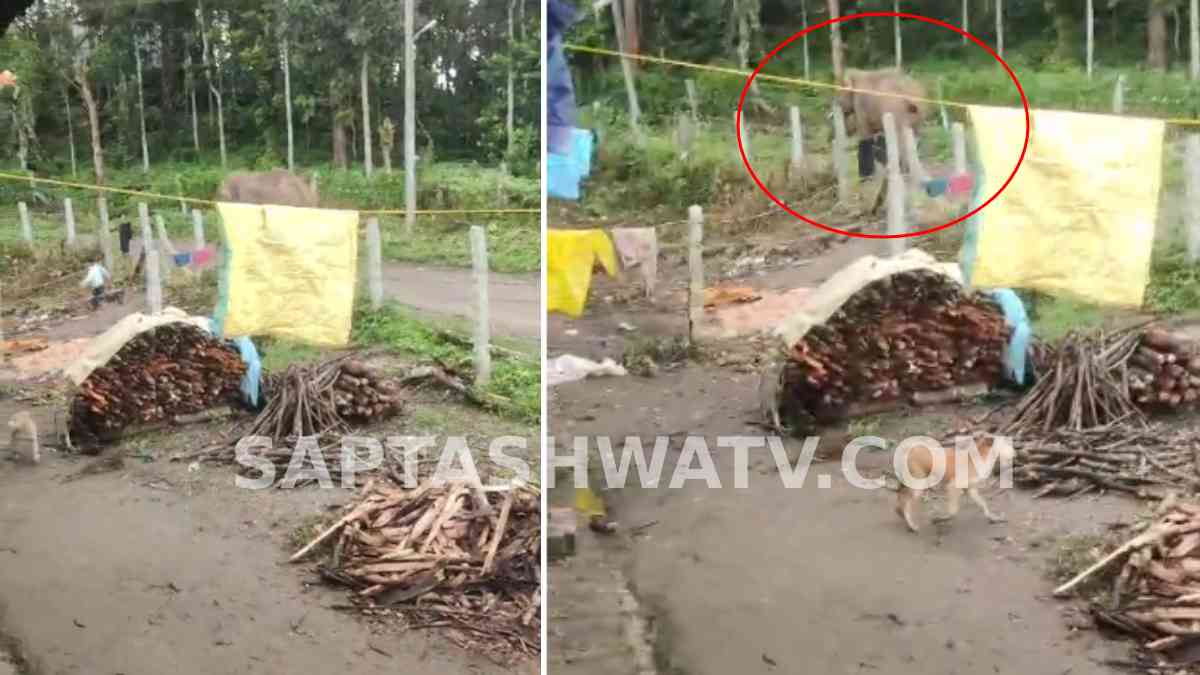 Wild Elephant Suddenly Charges At Boy In Chikkamagaluru, Narrow Escape Caught Amid Growing Village Fear