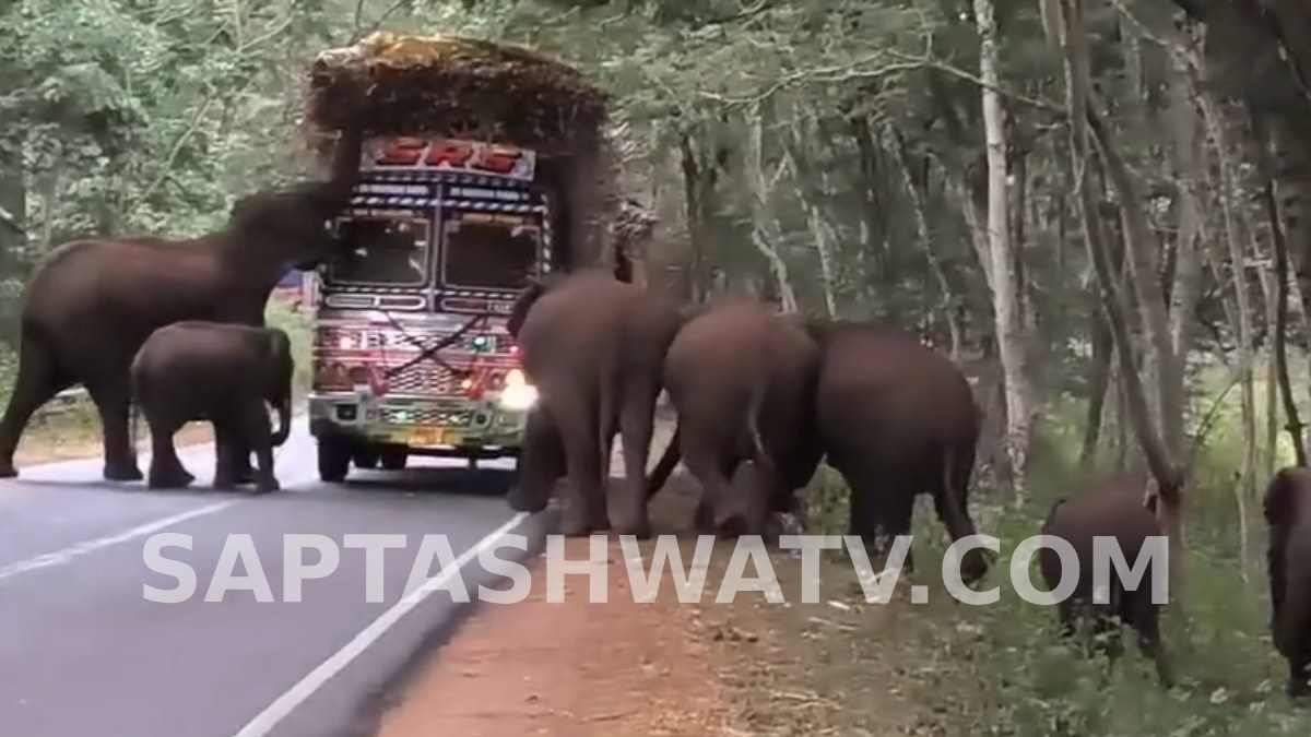 ತಾಳವಾಡಿ ಬಳಿಯ ಆಸನೂರಿನಲ್ಲಿ ಕಬ್ಬಿನ ಲಾರಿಗೆ ಮುತ್ತಿಗೆ ಹಾಕಿದ ಕಾಡಾನೆಗಳ ಹಿಂಡು - ಭೀತಿಯಲ್ಲಿ ಚಾಲಕ!!