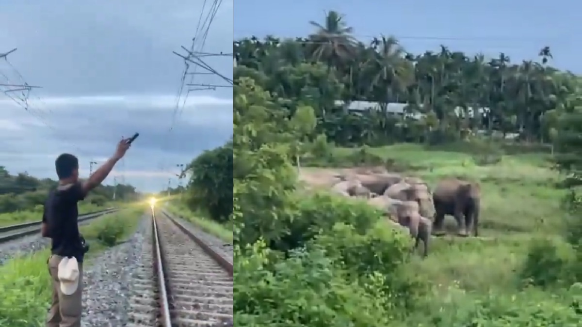 Assam Elephant Herd Crosses Railway Track Safely After Rajdhani Express Is Stopped | Photo Credit: x.com/Airawat
