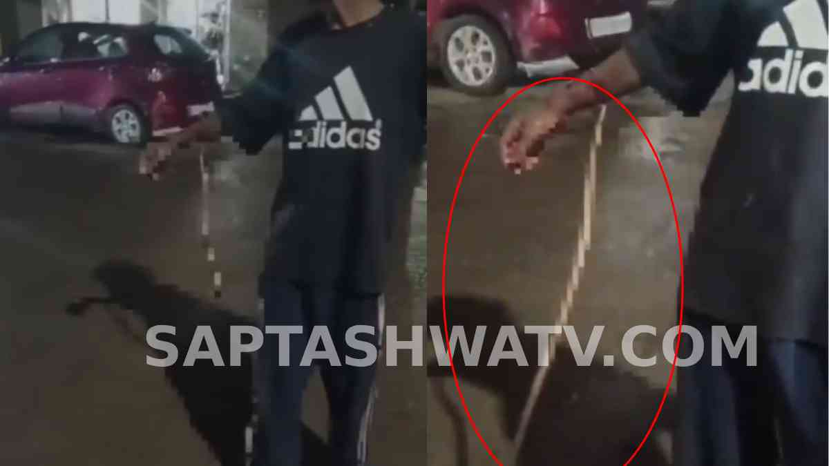 Drunk Man Allegedly Gets Snake to Bite His Hand in Uttar Pradesh’s Etah