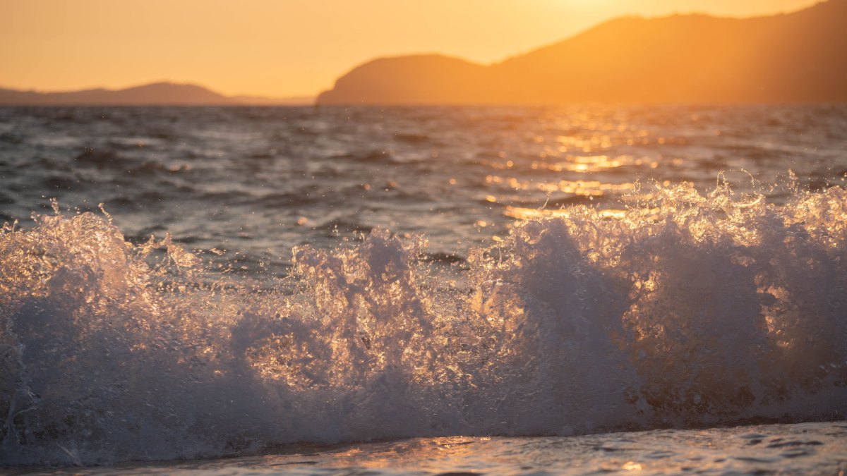 Europe’s Seas Are Breaking Heat Records: Scientists Blame Human Caused Climate Change