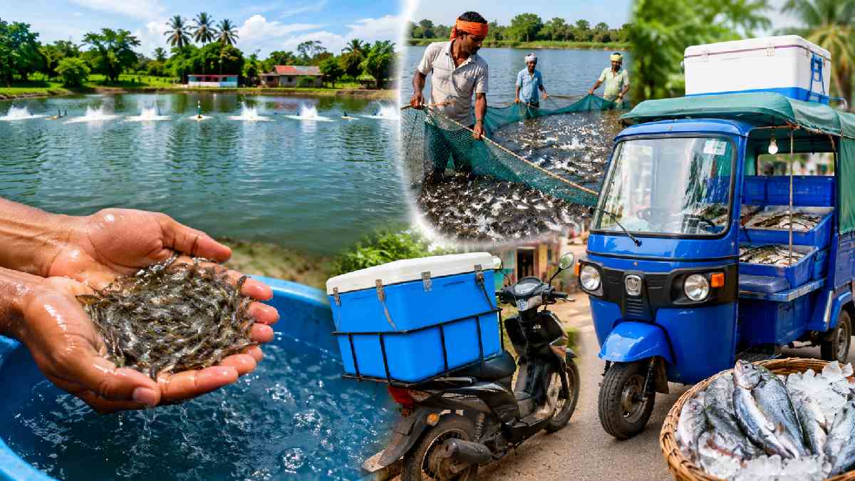 Dharwad Fisheries Department Invites Applications for Subsidy Schemes Up to 100% | Photo Credit: AI