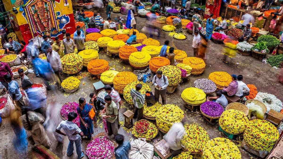 ಹೂವಿನ ಮಾರುಕಟ್ಟೆಯಲ್ಲಿ ದರದ ಬಿಸಿ - ಕನಕಾಂಬರ ₹5,000, ದುಂಡು ಮಲ್ಲಿಗೆ ₹2,000!!