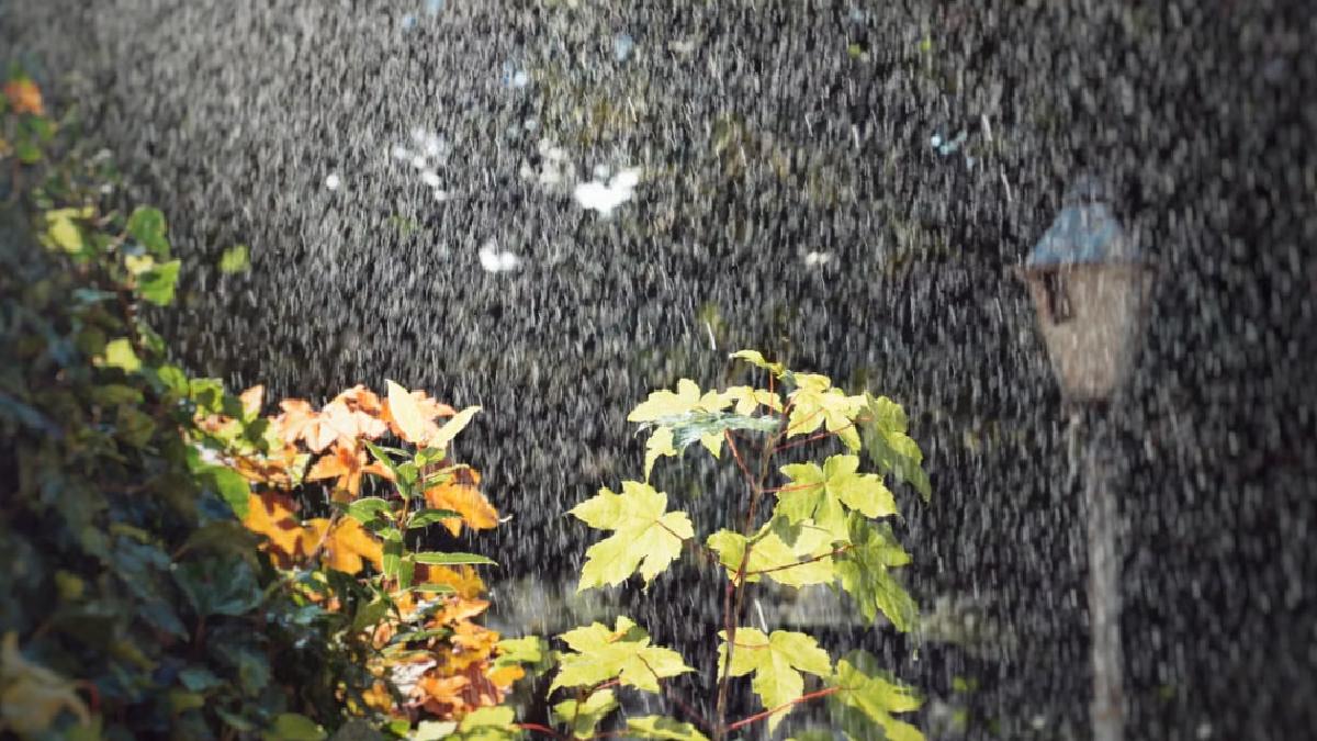 Heavy Rain Alert | Photo Credit: https://www.pexels.com/