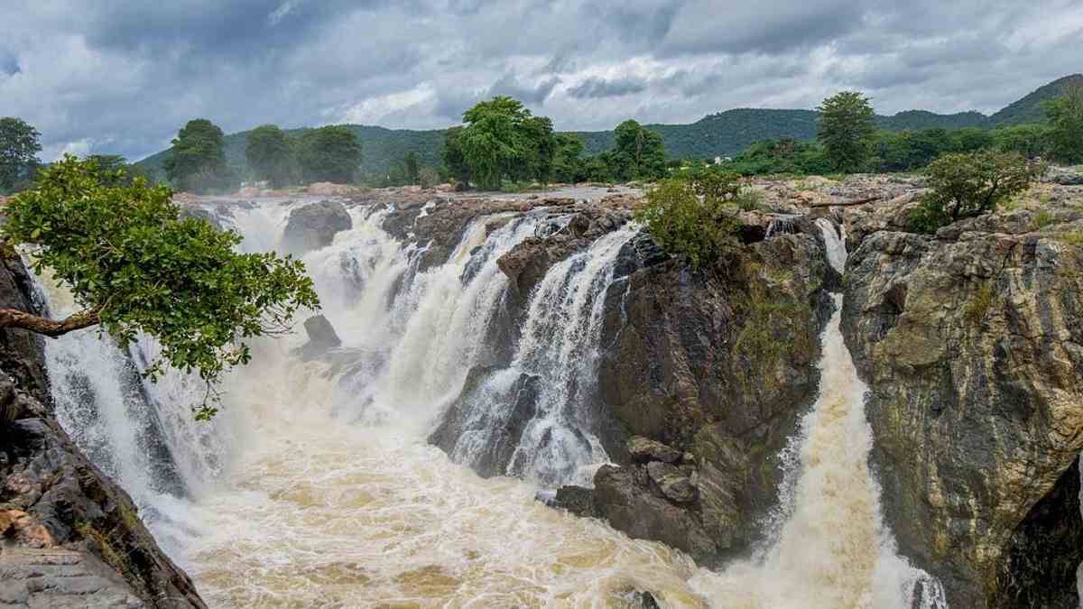 ಬತ್ತಿದ್ದ ಹೊಗೇನಕಲ್ ಈಗ ಫುಲ್ ಜೋಶ್