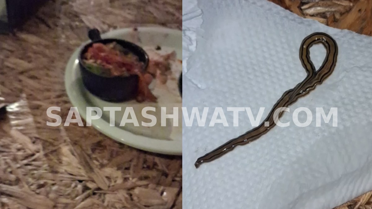 ಚಿಕ್ಕಮಗಳೂರು ಹೋಟೆಲ್ ಫ್ರೂಟ್ ಸಲಾಡ್‌ನಲ್ಲಿ ಹಾವಿನಂತೆ ಕಾಣುವ ಜಂತು ಪತ್ತೆ!!