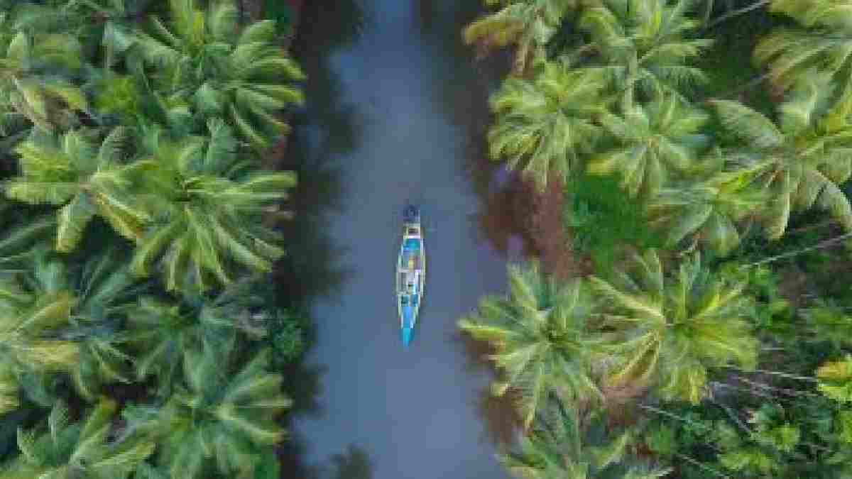 Lush green landscape of Thodupuzha Kerala | Photo Credit: https://www.jagranjosh.com/general-knowledge/evergreen-city-of-india-1820003788-1