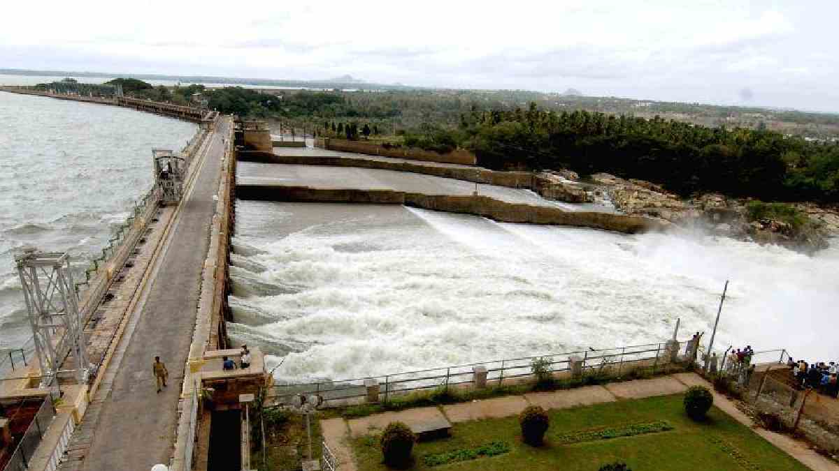 ರಾಜ್ಯದ ಜಲಾಶಯಗಳಲ್ಲಿ ಜಲಕಳೆ | Photo Credit: chatgpt