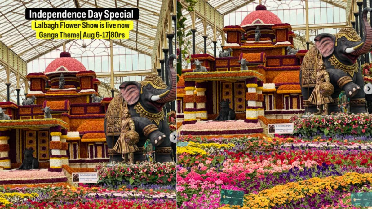 Lalbagh Flower Show Draws Massive Crowds Despite Rain, Over 28,000 Visitors In A Single Day