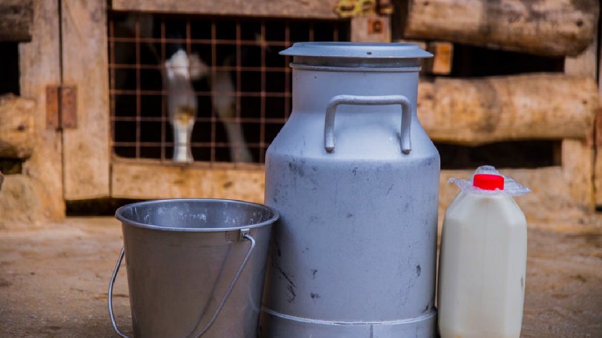 Milk Price Hike: BIG Shock for Consumers | Photo Credit: https://www.pexels.com/