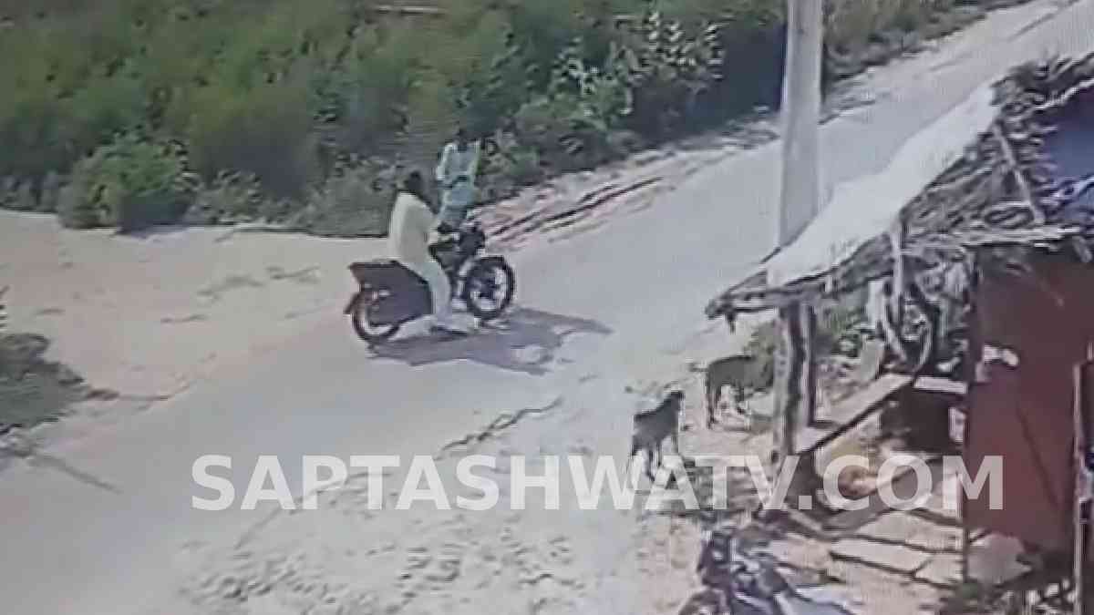 Morena Firing Horror: Man Escapes Unhurt After Gunman Chases Him And Opens Fire