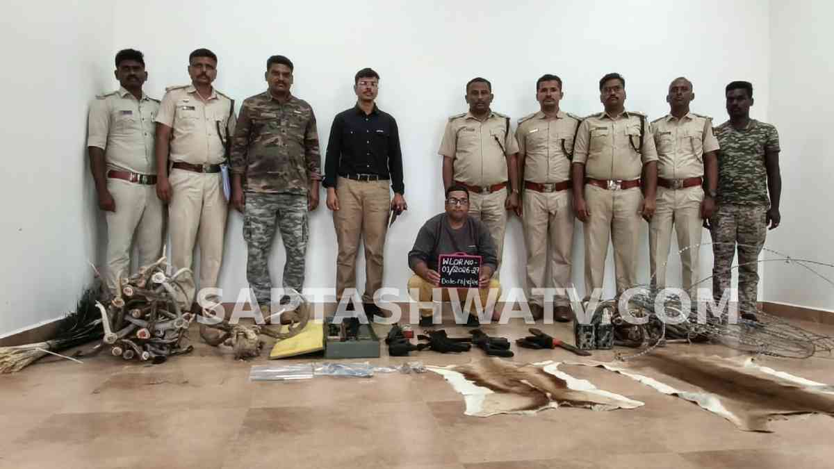 ತೋಟದ ಮನೆಯಲ್ಲಿ ಜಿಂಕೆ ಕೊಂಬುಗಳ ರಾಶಿ