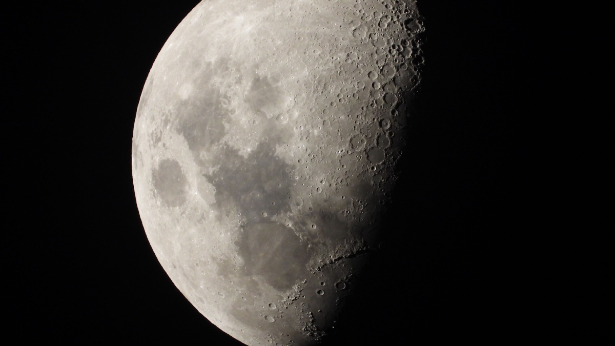 NASA Warning for Future Moon Missions: Earth Microbes May Survive on Lunar South Pole