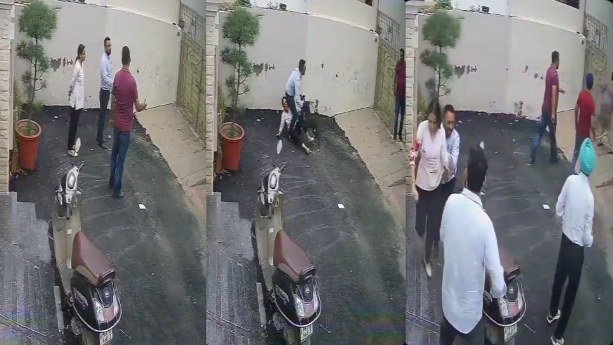Patiala Couple Attacked by Pitbull While Inspecting House With Real Estate Dealer, Both Hospitalised