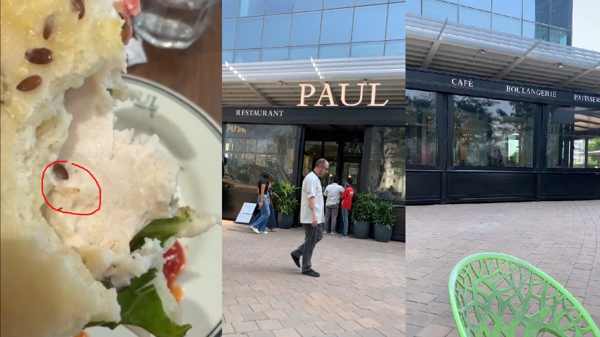 Worm Allegedly Found in Gurugram Restaurant Sandwich, Triggering Food Safety Concerns