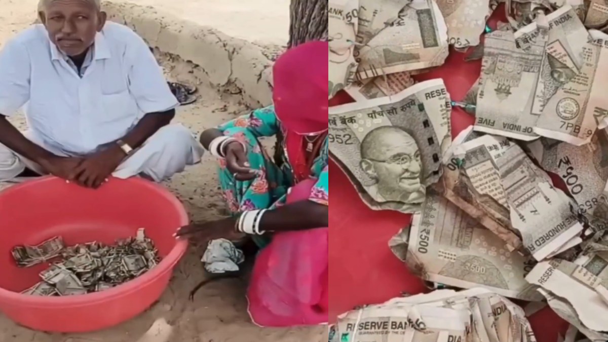 Rajasthan Farmer Buries ₹5 Lakh in Field to Keep It Hidden, Termites Destroy Cash