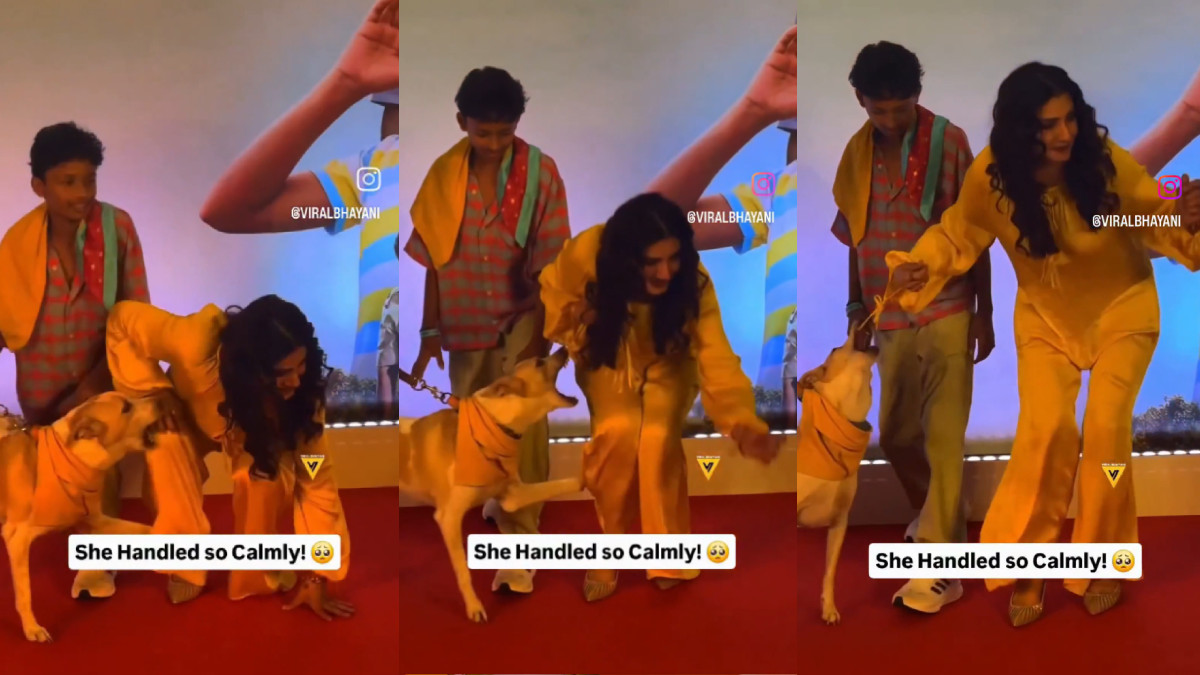 Raveena Tandon Nearly Bitten by Dog While Petting It at Public Event, Video Goes Viral