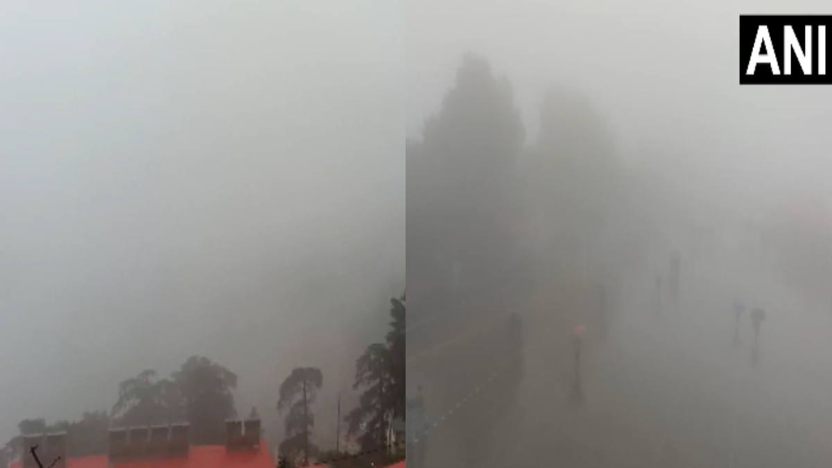 Shimla Weather Alert: Dense Fog and Heavy Rain Sweep Himachal Pradesh