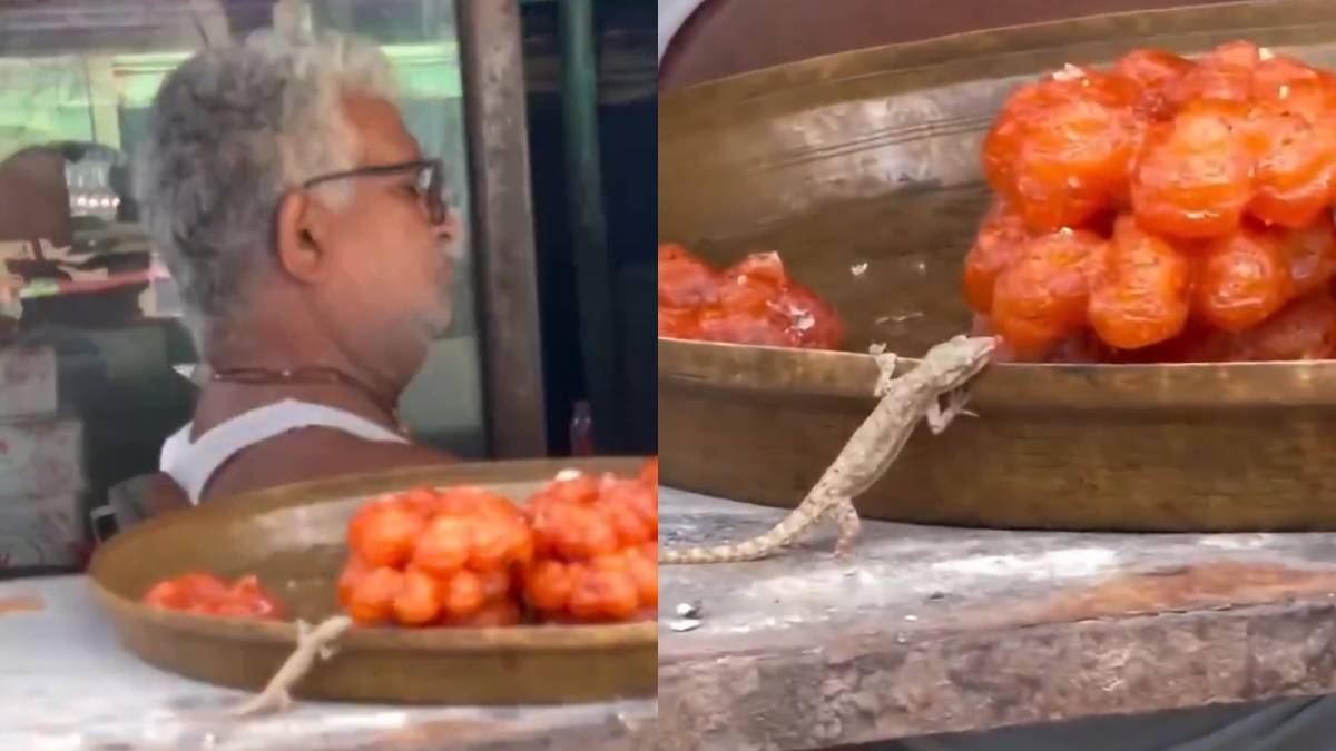 Poisonous Lizard Seen Licking Sweets as Shopkeeper Sleeps, Raising Serious Food Safety Concerns