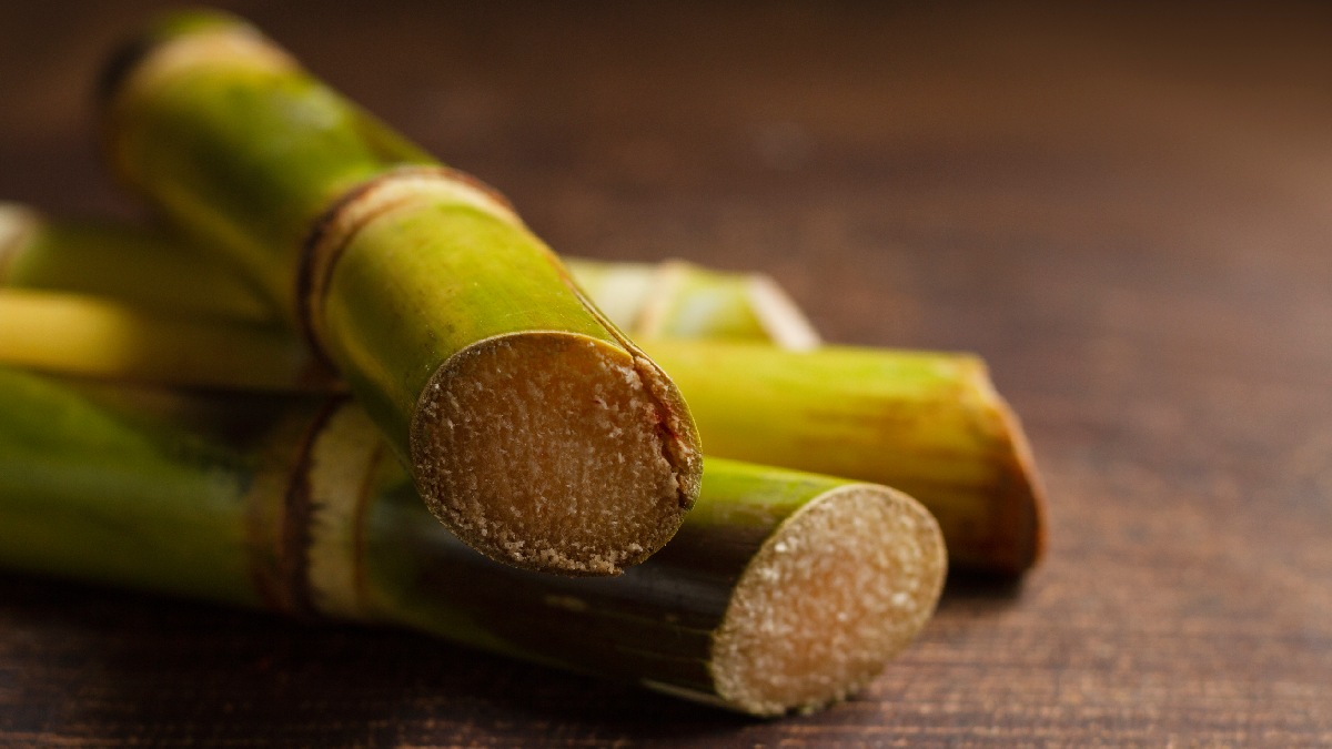 India Faces Sugarcane Shortage as Ethanol Push Raises Supply Concerns (Representative Image) | Photo Credit: www.magnific.com
