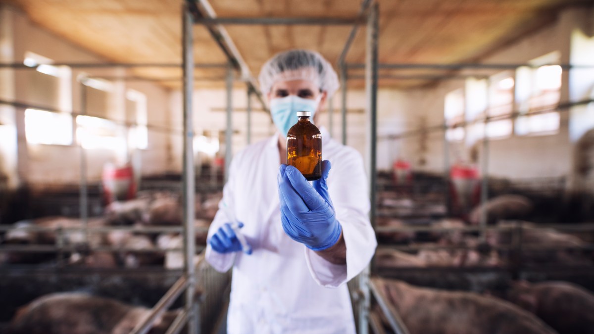 Swine Flu Claims 60 Year Old Woman’s Life: Know The Warning Signs