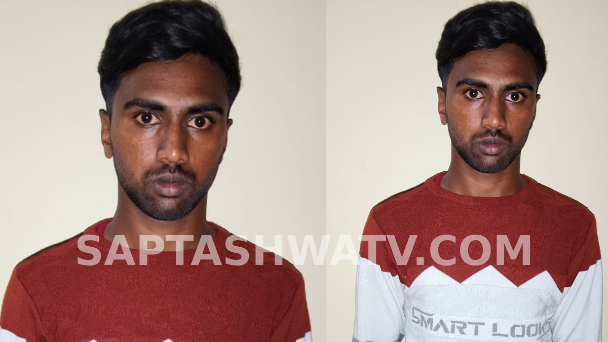 Chikkamagaluru Tipu Sultan Cutout Case: Man Held Over Video Featuring Pakistan-Linked Song