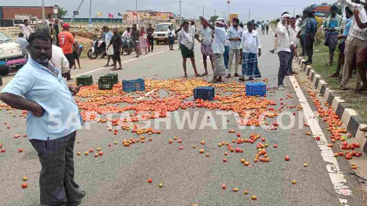 ಟೊಮ್ಯಾಟೊಗೆ ಬೆಲೆ ಇಲ್ಲ, ರೈತರ ಕಣ್ಣೀರು
