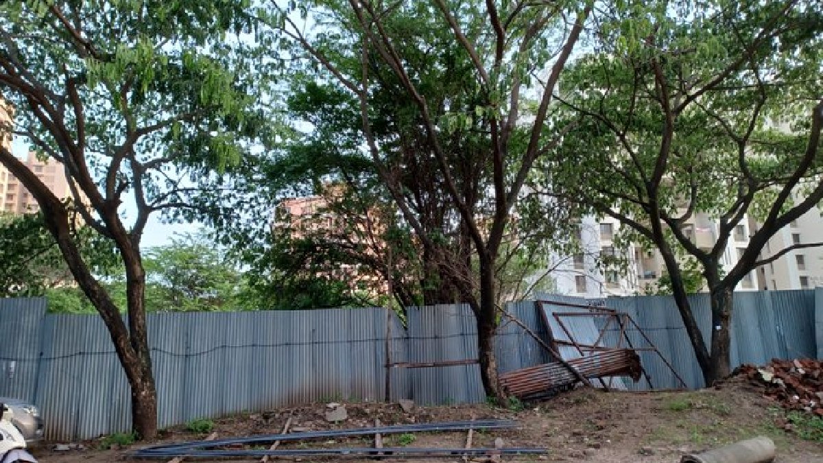 1,748 Trees to Be Cut for Karnataka's Sandur Road | Photo Credit: https://x.com/Chat_Pune