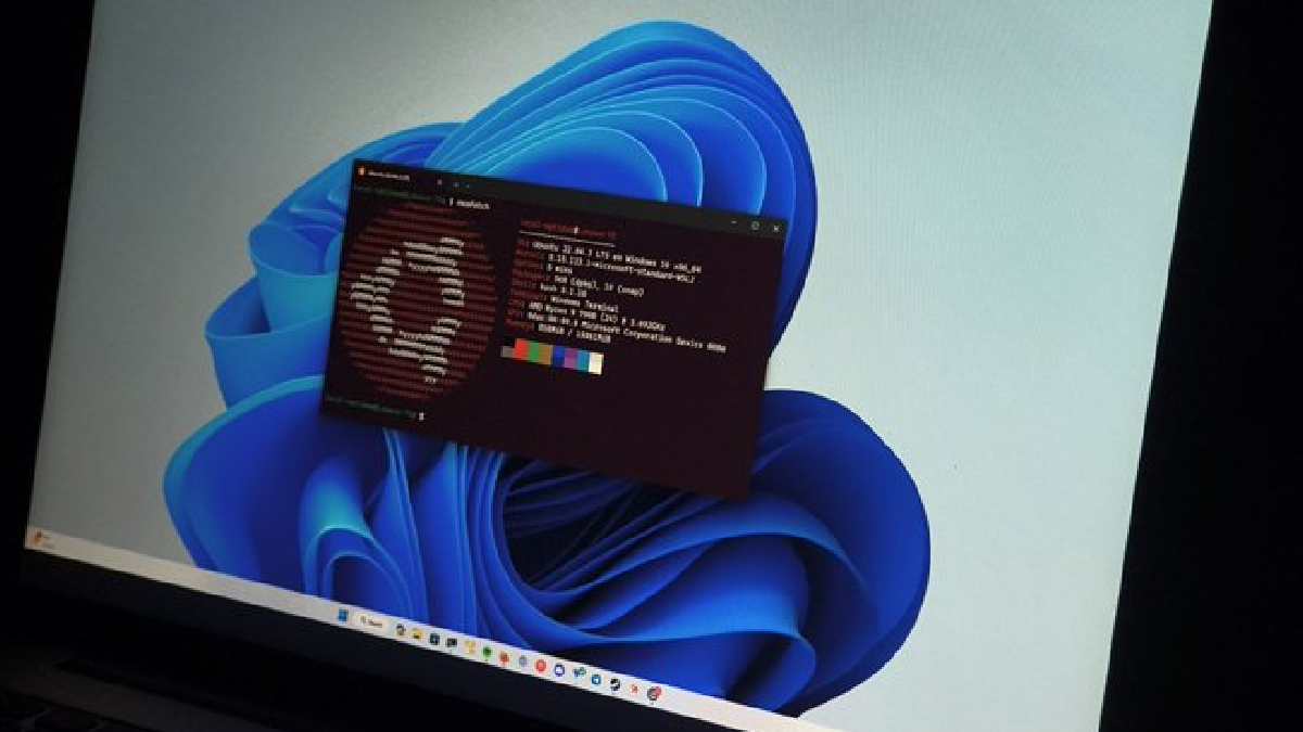 Ubuntu on Windows Is Beating Native Linux: Canonical Reveals a Surprising User Shift