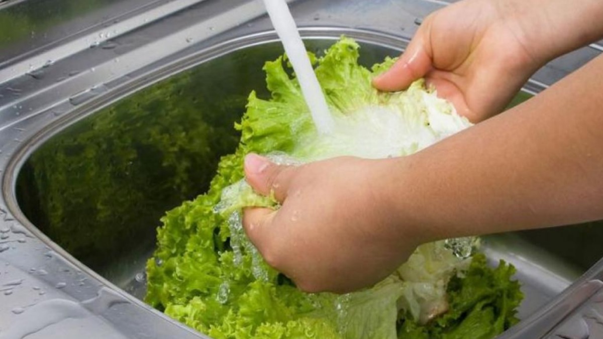 Cyclospora Outbreak Turns Deadly in US: Know the Symptoms, Causes and Safety Tips