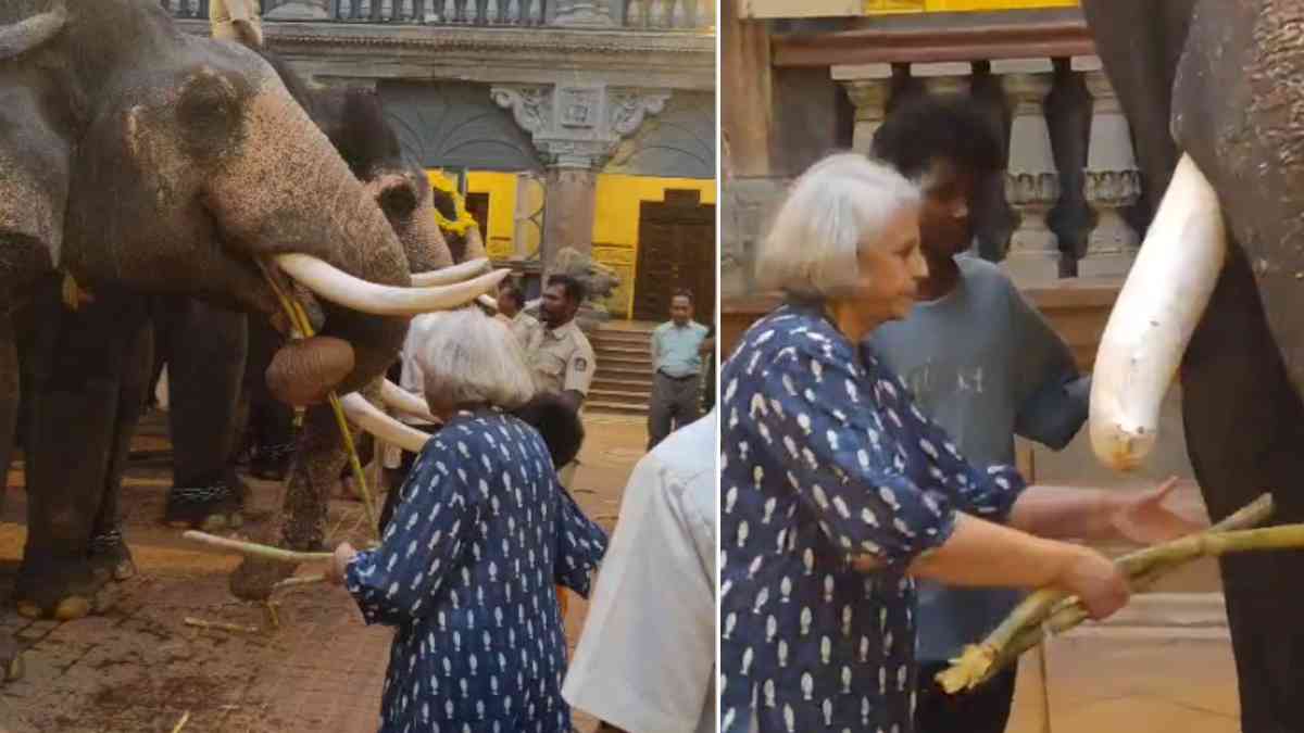 Mysuru Palace Elephants Charm Young Aadya Veer as He Shares a Special Moment With Rani Pramoda Devi